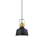 Превью фото №3  Подвесной светильник Подвесной светильник Moderli V1440-1P Felex