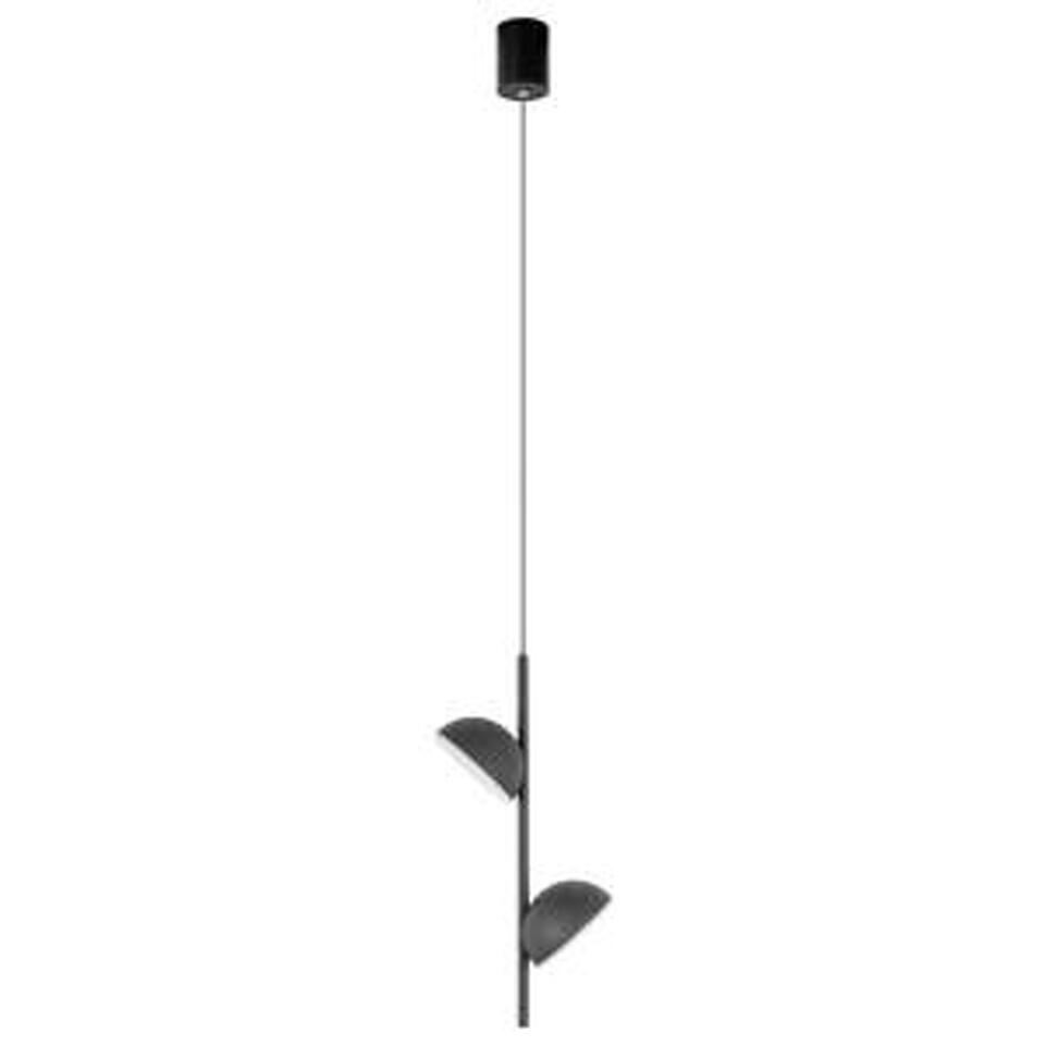 Фото №6  Подвесной светильник 10335 Black Подвесной светильник LOFT IT Mons