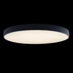 Превью фото №2  10002/48 Black Потолочный светильник LOFT IT Axel
