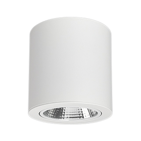Фото Arlight Светильник SP-FOCUS-R140-30W Day White ( IP20 Металл, 3 года)