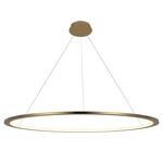 Превью фото №7  Подвесной светильник 10014XXL Подвесной светильник LOFT IT Ring