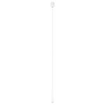 Превью фото №1  Подвесной светильник 10334/300 White Подвесной светильник LOFT IT Metropolis