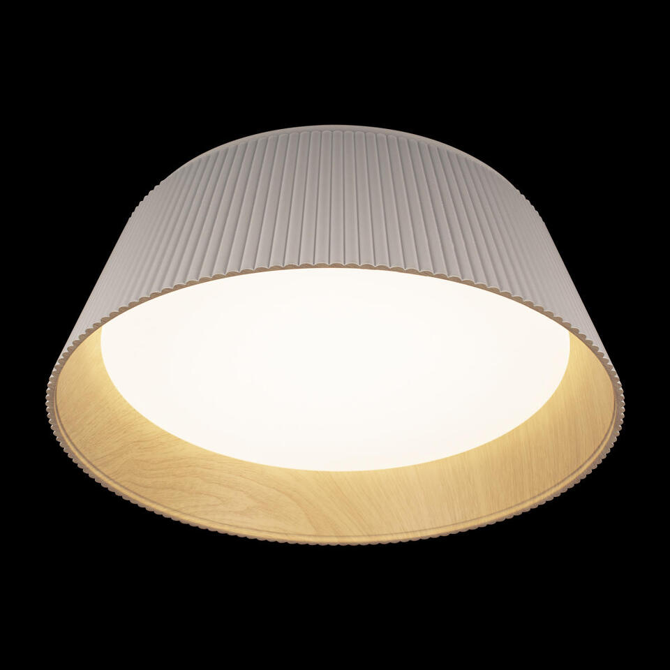 Фото №6  10224 White Потолочный светильник LOFT IT Evans