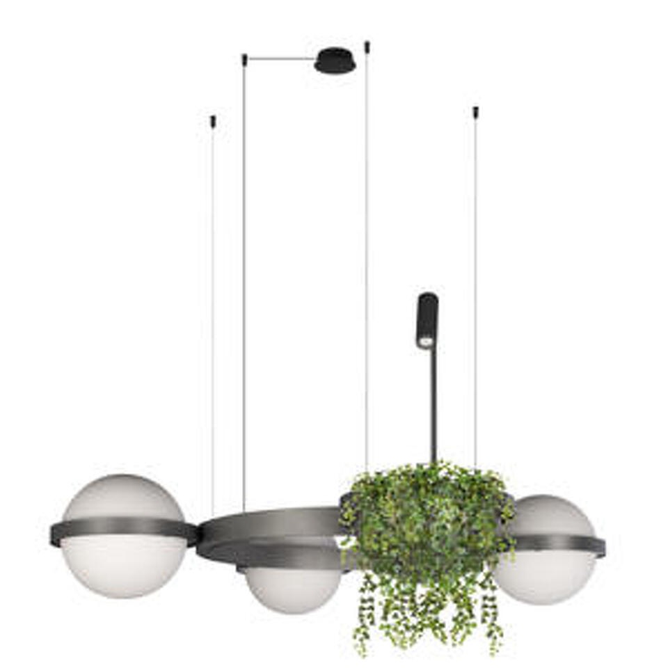 Фото №6  Подвесной светильник 10121/3 Dark grey Подвесной светильник LOFT IT Jardin