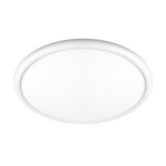 Превью фото №1  10454/500 White Потолочный светильник LOFT IT Sweety
