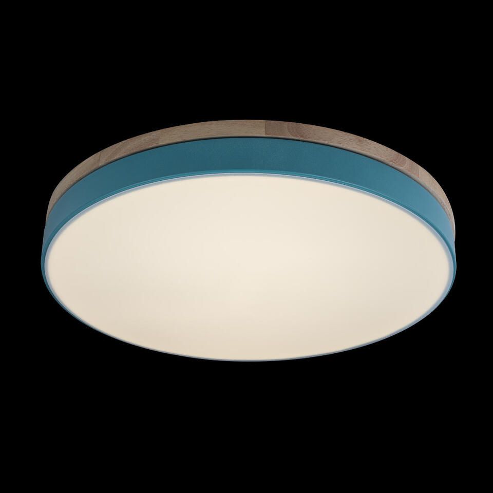 Фото №9  10001/36 Blue Потолочный светильник LOFT IT Axel