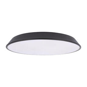Фото 10226 Black Потолочный светильник LOFT IT Brim