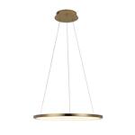 Превью фото №3  Подвесной светильник 10014M Подвесной светильник LOFT IT Ring