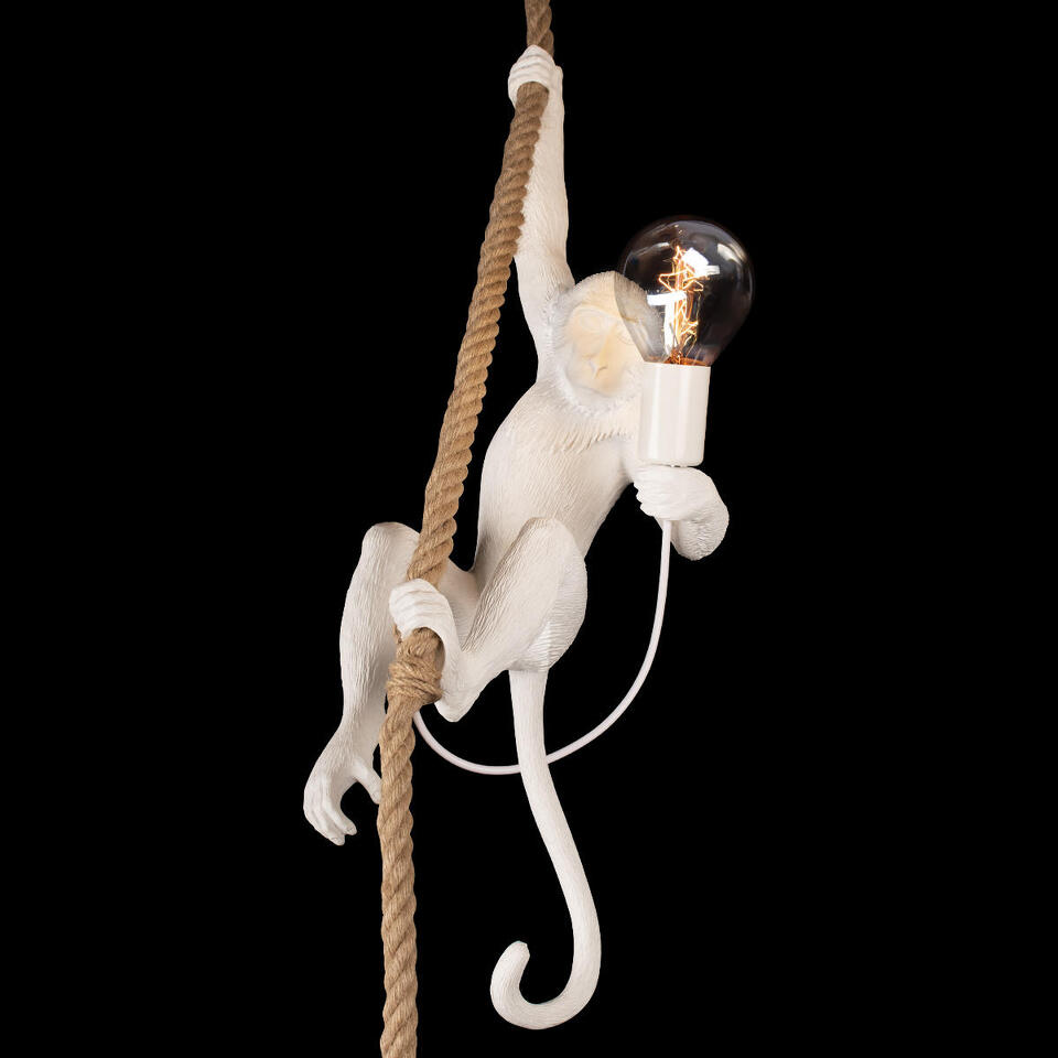 Фото №10  Подвесной светильник 10314P Подвесной светильник LOFT IT Monkey