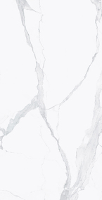 Фото REX Керамогранит I CLASSICI STATUARIO 6MM GLOSSY 60X120 RET