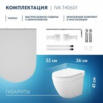 Превью фото №3  Унитаз Watersense Унитаз подвесной Iva безободковый, сиденье Дюропласт микролифт T40601