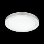 Превью фото №4  SONEX 3031/DL TAN SN 000 Светильник пластик/белый/прозрачный LED 48Вт 3000-6500K D450 IP43 пульт ДУ/ LampSmart ASUNO