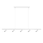 Превью фото №1  Подвесной светильник 10260/5 White Подвесной светильник LOFT IT Sign