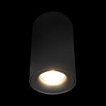 Превью фото №2  10220 Black 3000K Потолочный светильник LOFT IT Tictac