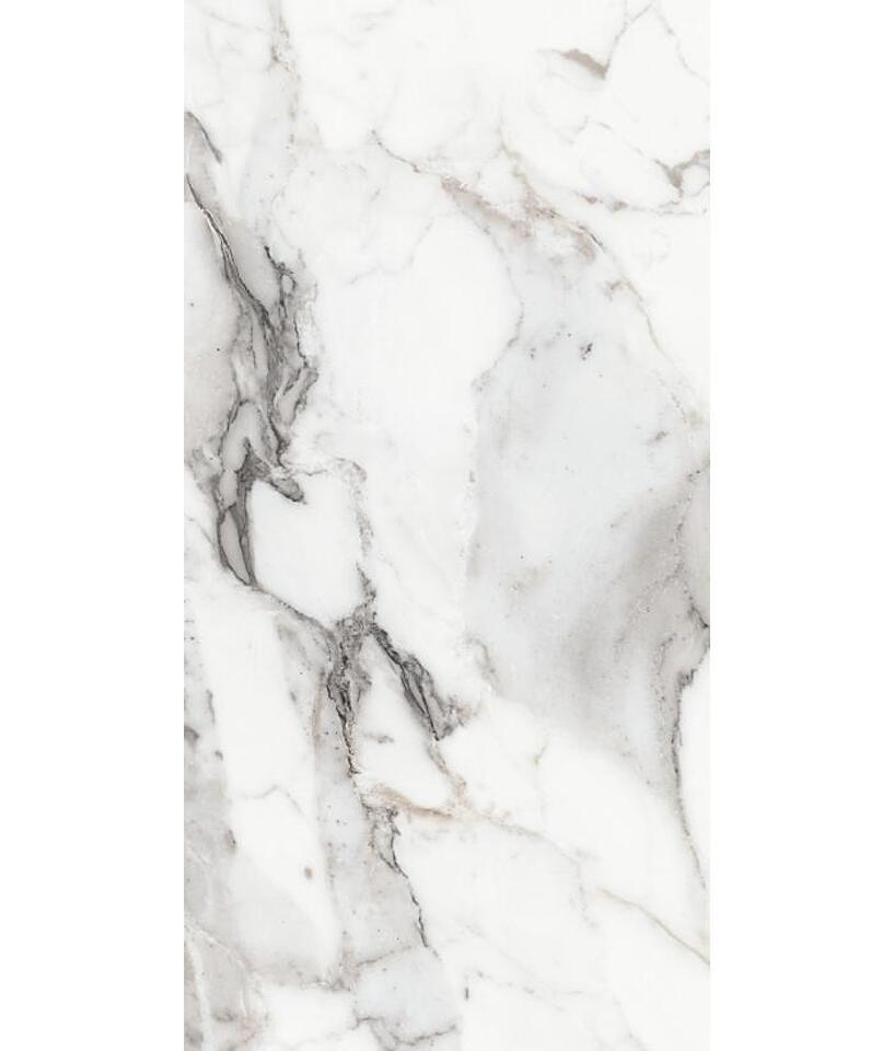 Фото №26  REX Керамогранит LES ORIGINES DE REX ARGENT GLOSSY 60X120