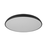 Превью фото №1  10371 Black Потолочный светильник LOFT IT Dime