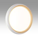 Превью фото №3  SONEX 7650/DL PALE SN 141 Светильник пластик/белый/золотой LED 48Вт 4000К D380 IP43 TOFIQ WHITE