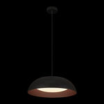 Превью фото №2  Подвесной светильник 10229P Black Подвесной светильник LOFT IT Cappello