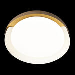 Превью фото №6  10198 White Потолочный светильник LOFT IT Coin