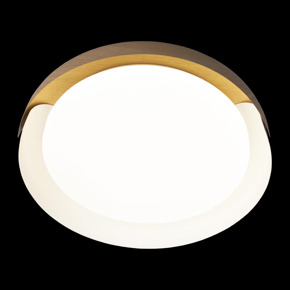 Фото №8  10198 White Потолочный светильник LOFT IT Coin