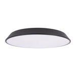 Превью фото №1  10226 Black Потолочный светильник LOFT IT Brim
