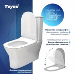 Превью фото №2  Унитаз Teymi Унитаз напольный Ellie безободковый, сиденье Дюропласт микролифт T40801
