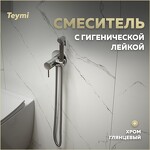 Превью фото №1  Teymi Смеситель с гигиенической лейкой Lina, хром T10229