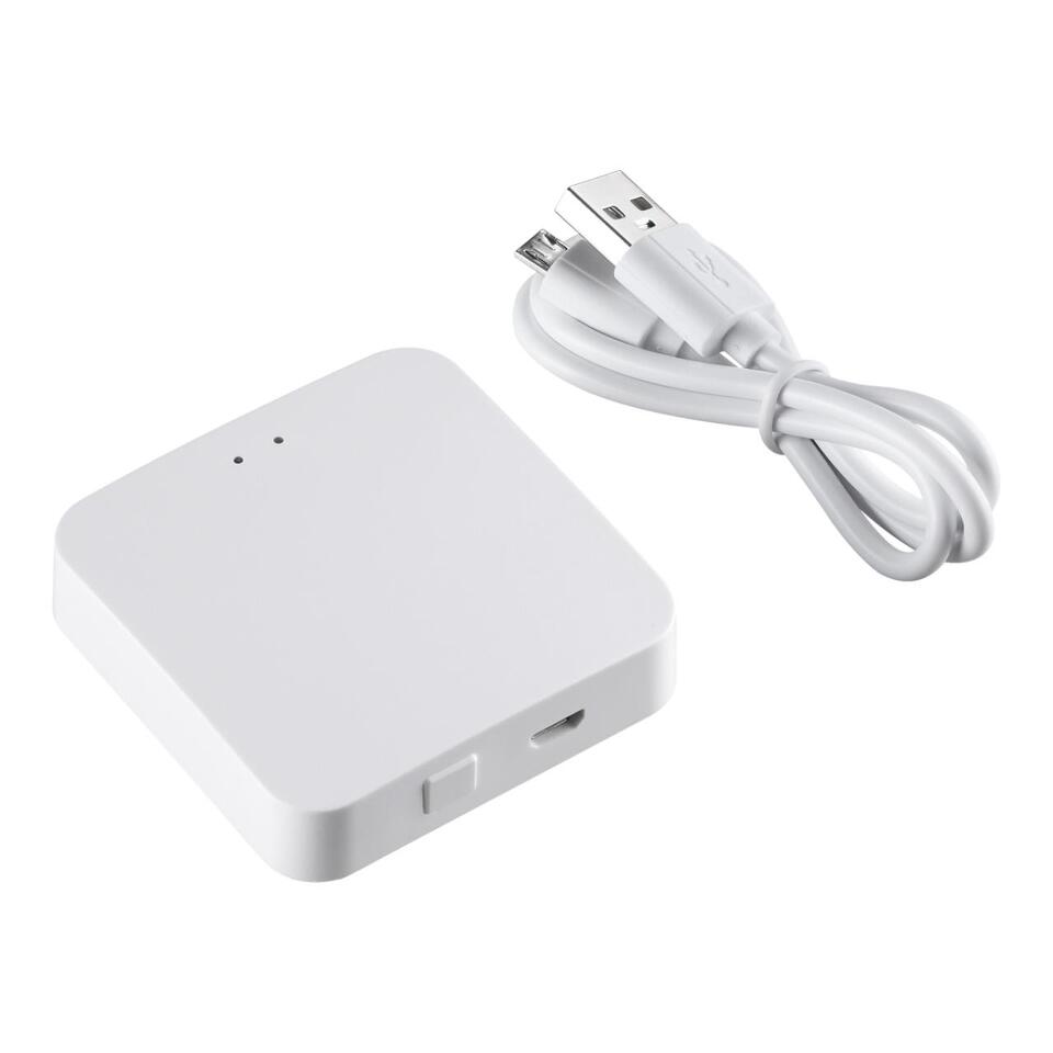 Фото №4  NOVOTECH 359392 GATE NT24 042 белый Интеллектуальный Bluetooth-шлюз Tuya Smart Life для умного дома IP20 GLAT