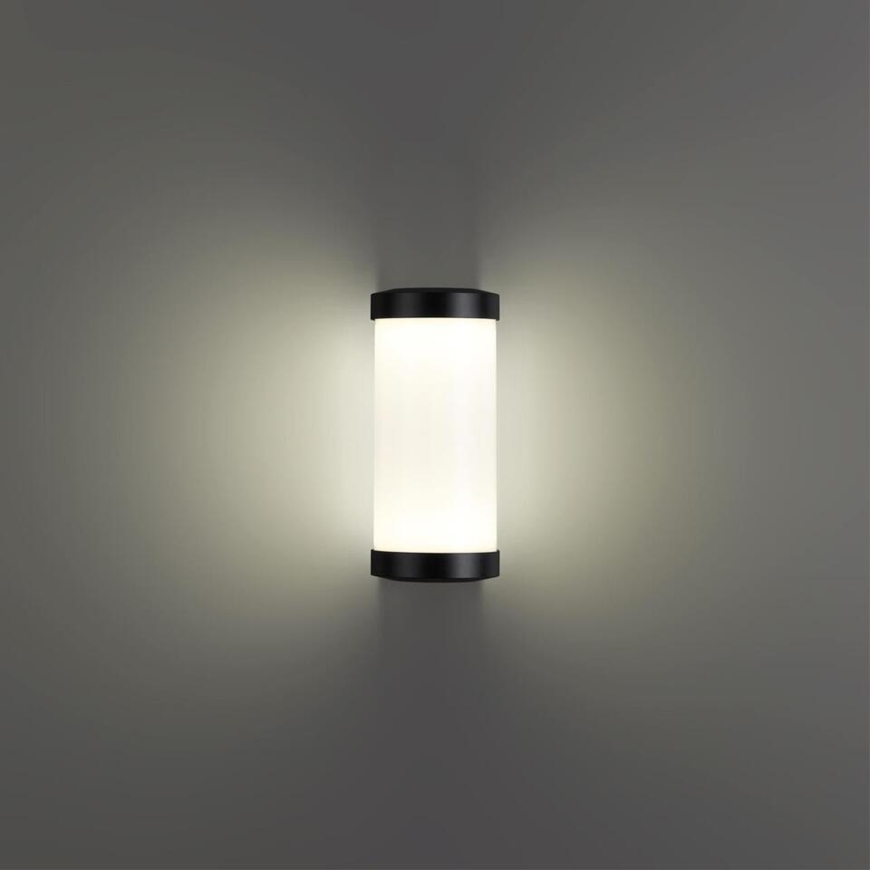 Фото №6  NOVOTECH 359300 STREET NT24 776 черный Светильник ландшафтный настенный IP65 LED 6W 4000K 180-265V OPAL