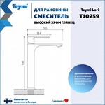 Превью фото №15  Teymi Смеситель для раковины Lori высокий, хром T10259