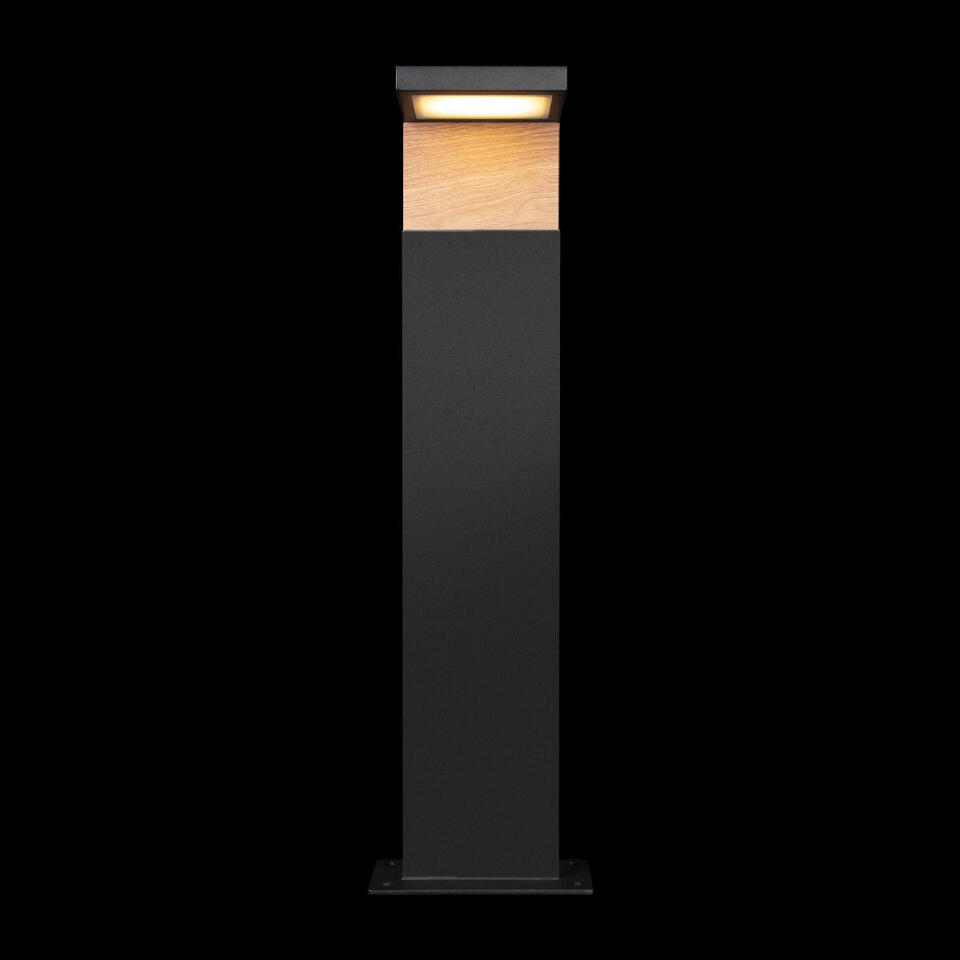 Фото №10  100001/600 Ландшафтный светильник LOFT IT Oak
