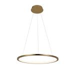 Превью фото №1  Подвесной светильник 10014M Подвесной светильник LOFT IT Ring