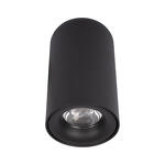 Превью фото №1  10220 Black 3000K Потолочный светильник LOFT IT Tictac