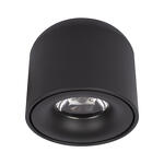 Превью фото №1  10219 Black 4000K Потолочный светильник LOFT IT Tictac