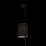Превью фото №4  Подвесной светильник 10253P Black Подвесной светильник LOFT IT Ritz