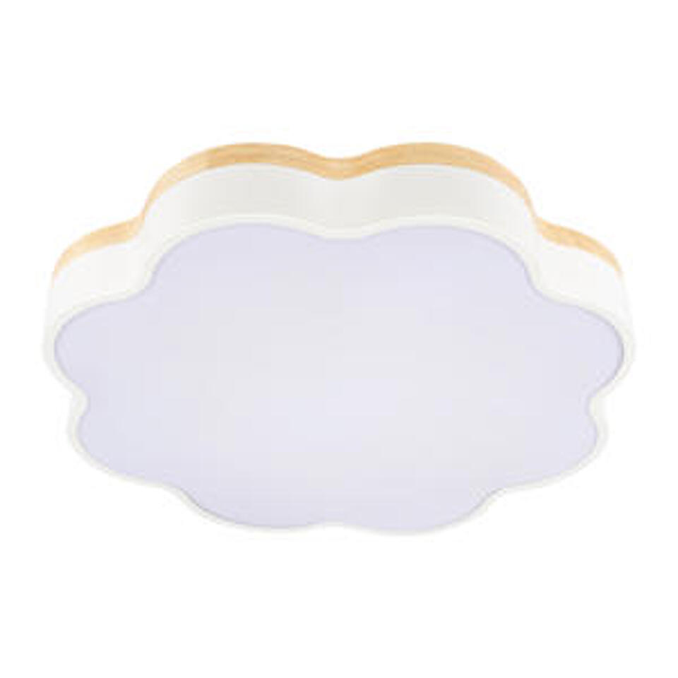 Фото №8  10225/36 White Потолочный светильник LOFT IT Axel