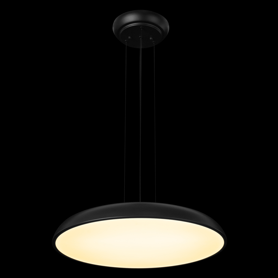 Фото №7  Подвесной светильник 10371P Black Подвесной светильник LOFT IT Dime