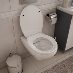 Превью фото №7  Унитаз Teymi Унитаз подвесной Hanna Pro безободковый, сиденье микролифт T40901