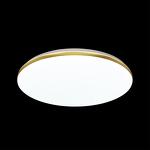 Превью фото №4  SONEX 3043/DL TAN SN 000 Светильник пластик/белый/золотистый LED 48Вт 3000-6300К D385 IP43 пульт ДУ/ LampSmart LASSA