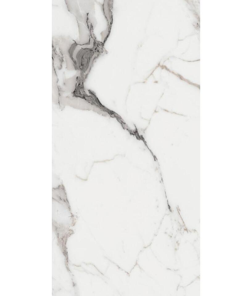 Фото №26  REX Керамогранит LES ORIGINES DE REX ARGENT GLOSSY 60X120