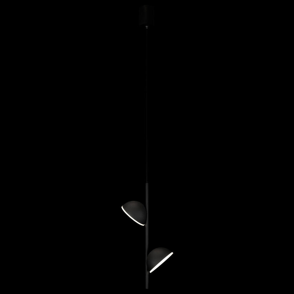 Фото №6  Подвесной светильник 10335 Black Подвесной светильник LOFT IT Mons