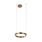 Превью фото №1  Подвесной светильник 10013S Подвесной светильник LOFT IT Ring