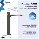 Превью фото №3  Teymi Смеситель для раковины Lori высокий, графит матовый T10261