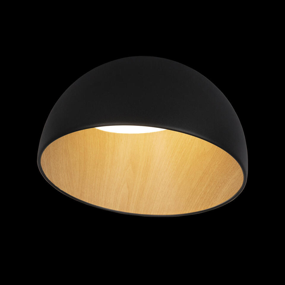 Фото №7  10197/350 Black Потолочный светильник LOFT IT Egg