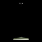 Превью фото №2  Подвесной светильник 10119 Green Подвесной светильник LOFT IT Plato