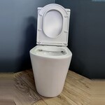 Превью фото №9  Унитаз Teymi Унитаз напольный Solli безободковый, сиденье Дюропласт микролифт T40203