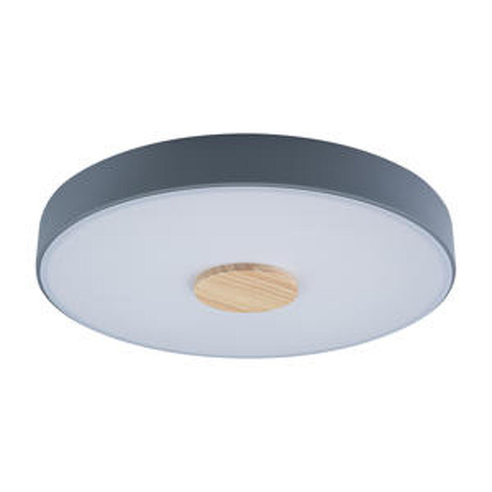 Фото №5  10003/24 Grey Потолочный светильник LOFT IT Axel