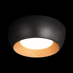 Превью фото №2  10255/350 Black Потолочный светильник LOFT IT Folk