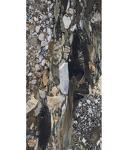 Превью фото №16  REX Керамогранит BIJOUX QUATRE SAISONS GLO 6MM R 60X120