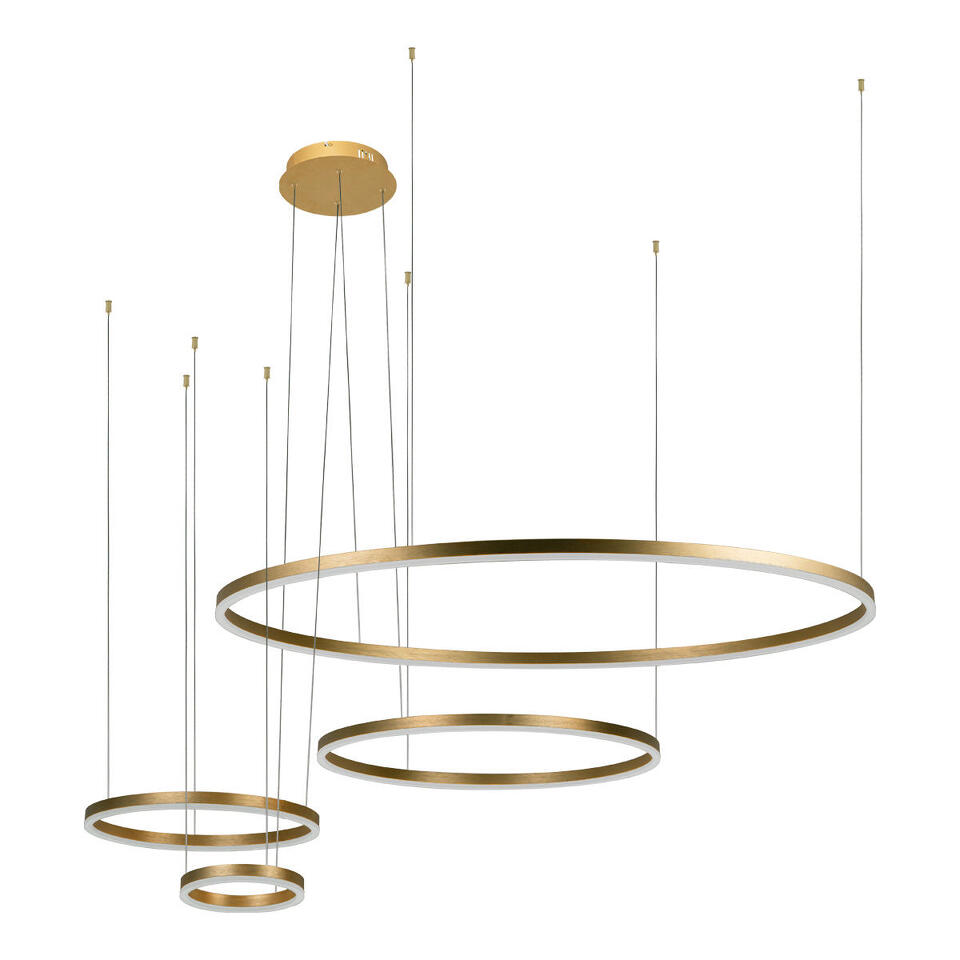 Фото №5  Подвесной светильник 10017/4L Подвесной светильник LOFT IT Ring